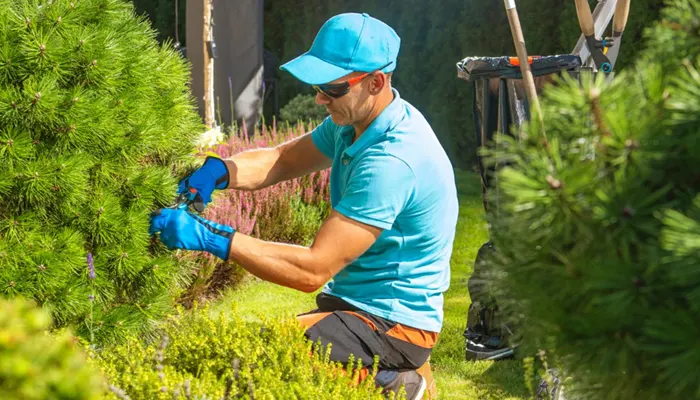 Cleaning Company